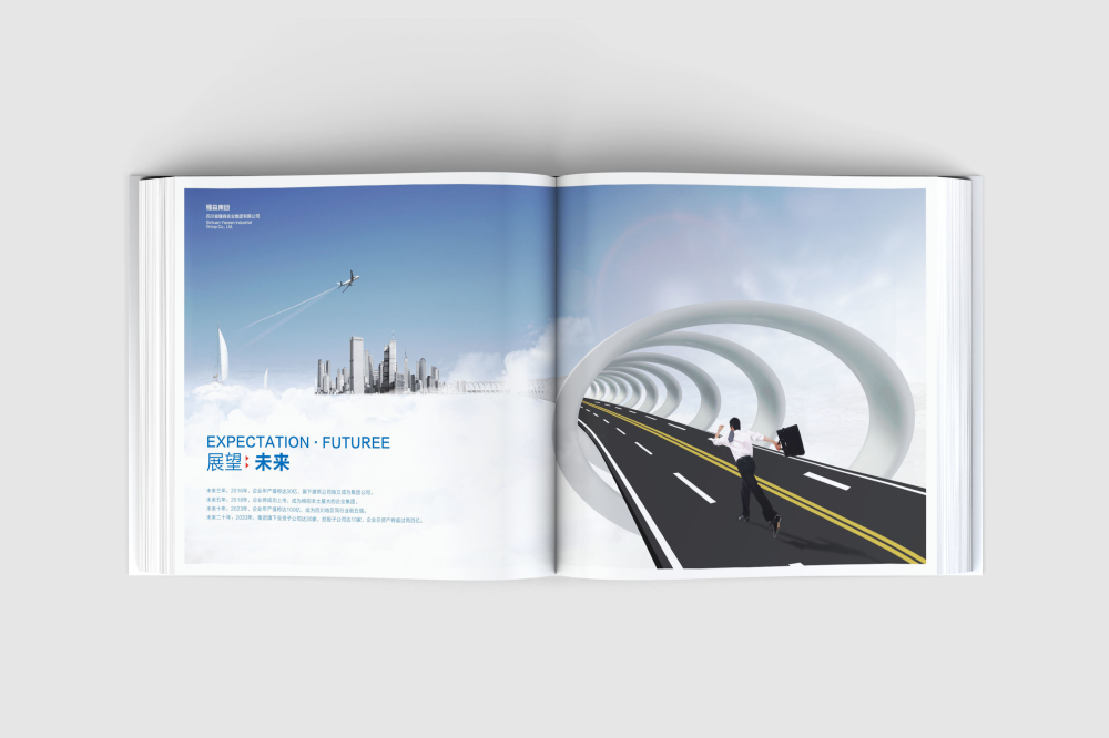 从化市画册设计